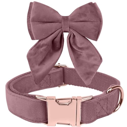 Tie KTWSUEF Hundehalsband Fliege Samtige, Fliege für Hunde, Komfortable Haltbarkeit Halsband Hund, Abnehmbares und verstellbares Fliege Hunde Für Hochzeiten, Geburtstage, Festliche Tie KTWSUEF Hundehalsband Fliege Samtige, Fliege für Hunde, Komfortable Haltbarkeit Halsband Hund, Abnehmbares und verstellbares Fliege Hunde Für Hochzeiten, Geburtstage, Festliche von KTWSUEF