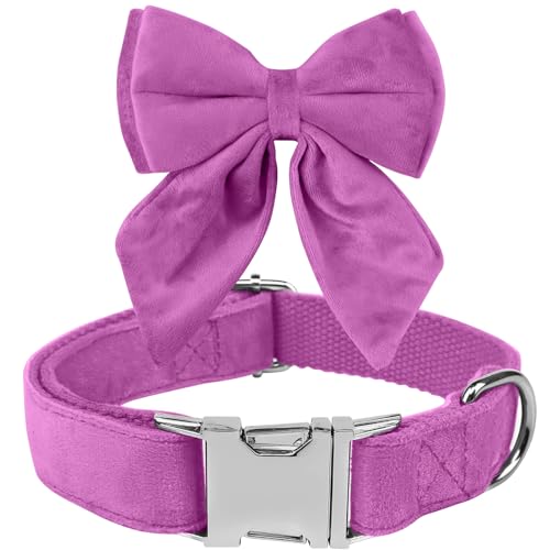 Tie KTWSUEF Hundehalsband Fliege Samtige, Fliege für Hunde, Komfortable Haltbarkeit Halsband Hund, Abnehmbares und verstellbares Fliege Hunde Für Hochzeiten, Geburtstage, Festliche Tie KTWSUEF Hundehalsband Fliege Samtige, Fliege für Hunde, Komfortable Haltbarkeit Halsband Hund, Abnehmbares und verstellbares Fliege Hunde Für Hochzeiten, Geburtstage, Festliche von KTWSUEF