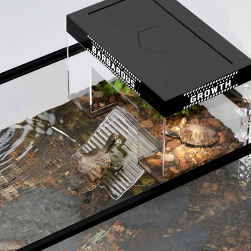 KTZCTPCA Schildkrötenaufsatz, Sonnenplattform, Acryl-Schildkrötenrampe, transparente Wasser-Reptilien-Rampe, Dock, Land, erhöhter Topper, Dekoration, Schieber-Hänge-Lebensraum, Käfig für KTZCTPCA Schildkrötenaufsatz, Sonnenplattform, Acryl-Schildkrötenrampe, transparente Wasser-Reptilien-Rampe, Dock, Land, erhöhter Topper, Dekoration, Schieber-Hänge-Lebensraum, Käfig für von KTZCTPCA