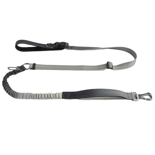 KUBEMUEG Hundeleine mit reflektierenden Nähten, strapazierfähig, Bungee mit Auto-Sicherheitsgurt, verstellbare Taillenleine zum Gehen, Laufen, Wandern, Grau KUBEMUEG Hundeleine mit reflektierenden Nähten, strapazierfähig, Bungee mit Auto-Sicherheitsgurt, verstellbare Taillenleine zum Gehen, Laufen, Wandern, Grau von KUBEMUEG