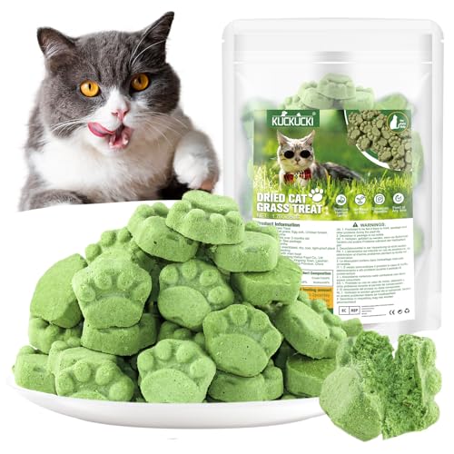 50g Katzengras Snacks, Gefriergetrocknet Snacks für Katzen, Katzengras-Beißstäbchen Fertig Gewachsen für die Zahnpflege, Katzengrasstäbchen Haarknäuel Entfernen 50g Katzengras Snacks, Gefriergetrocknet Snacks für Katzen, Katzengras-Beißstäbchen Fertig Gewachsen für die Zahnpflege, Katzengrasstäbchen Haarknäuel Entfernen von KUCKUCKI