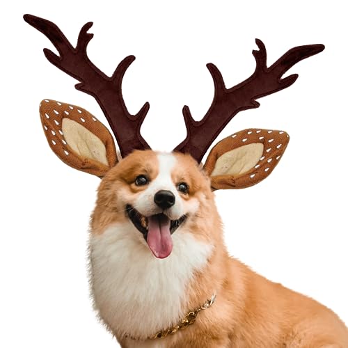 KUDES Hunde- und Katzen-Weihnachts-Stirnband, Rentiergeweih, klassisch, verstellbar, Elchmütze, Kopfbedeckung, Haustier, Hirsch, Cospaly, Kostüme, Zubehör (Größe M (für kleine, mittelgroße Hunde)) KUDES Hunde- und Katzen-Weihnachts-Stirnband, Rentiergeweih, klassisch, verstellbar, Elchmütze, Kopfbedeckung, Haustier, Hirsch, Cospaly, Kostüme, Zubehör (Größe M (für kleine, mittelgroße Hunde)) von KUDES