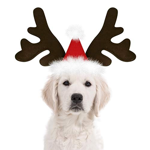 KUDES Weihnachtliches Rentier-Geweih-Stirnband für Hunde, klassischer Elchhut, Kopfbedeckung, Haustierkostüm-Zubehör von KUDES