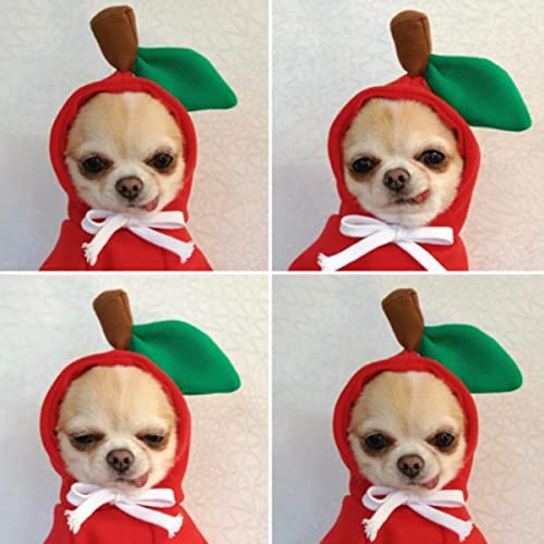 1 Stück kleine und mittelgroße Haustierhunde Hoodies Teddy Französische Bulldogge Warme Kleidung im Herbst und Winter Chihuahua Hund Dress Up Jacke von KUGRRFRC