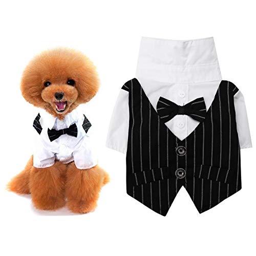 KUIDAMOS Hundehemd Welpen Haustier Kleine Hundekleidung, Mode Business Anzug Smoking mit schwarzer Krawatte, Hund Hochzeit Fliege Anzug(S) von KUIDAMOS