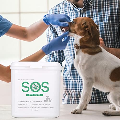 Reinigungstücher für Haustiere, Tränenfleckenentferner für Katzen und Hunde, Mild und Nicht Reizend, Harmlos und Sicher, Langlebig, Tragbar für Katzen Reinigungstücher für Haustiere, Tränenfleckenentferner für Katzen und Hunde, Mild und Nicht Reizend, Harmlos und Sicher, Langlebig, Tragbar für Katzen von KUIDAMOS