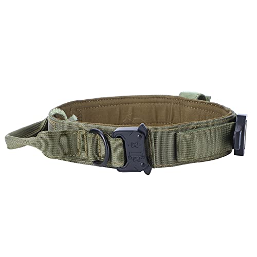 Haustier-Hundehalsband, verstellbar, Traktion, Jagd, Nylon, Traktion mit Stahlverschluss, grünes Seil, für Zuhause von KUIKUI