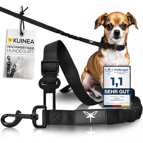 KUINEA® Hundegurt Auto - elastischer Sicherheitsgurt Hund mit Rückdämpfung - für alle Hunderassen&Autotypen - Anschnallgurt Hund Auto - Hunde Zubehör Auto, Hund anschnallen Auto, Hunde Autogurt robust von KUINEA