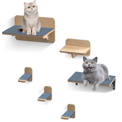 KUMAYOSHI Katzen-Wandregale, Katzen-Wandregale und Sitzstangen zum Schlafen, Spielen, Klettern und Faulenzen – Modernes Katzenbett & Möbel für große Katzen oder Kitty-1 von KUMAYOSHI