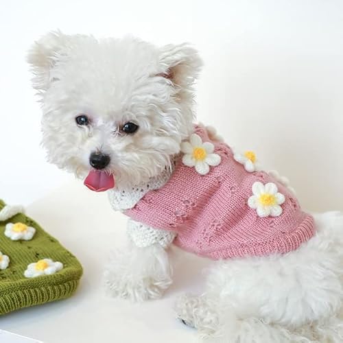 KUOCA Klassischer gestrickter Haustierpullover, süße Farbe, Hundekleidung für kleine Hunde, Winter-Hundejacke ohne Ärmel, Katzenkleidung von KUOCA