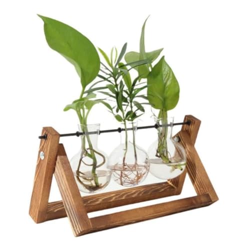 KUPOO Pflanzen-Terrarium mit Holzständer, Desktop-Anzuchtstation für Hydrokulturen, Pflanzen, Zuhause, Garten, Hochzeitsdekoration (3 Vasen) von KUPOO