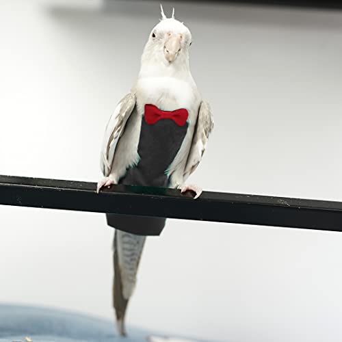 KUSO Parrot Wiederverwendbare Windel für Vögel, Wellensittiche, Nymphensittiche, Kakadus, afrikanische Aras (L, Schwarz) von KUSO