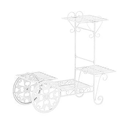KUYWLMKMZZ Vogelträger Metall Vogel Käfig Home Vogel Träger Wohnzimmer Korridor Dekoration Dekoration Hotel Cafe Dekoration Geeignet for Gitterkollegen und Freunde Haustierzubehör (Color : B) von KUYWLMKMZZ