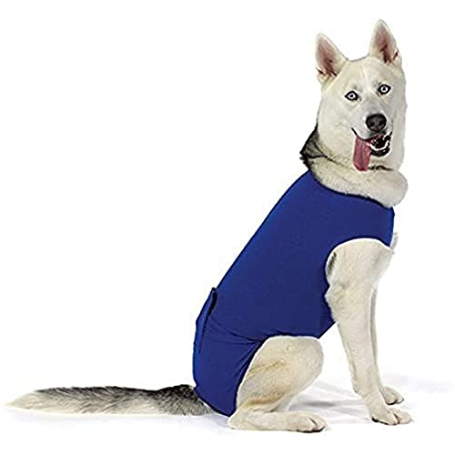 KVP Recova Shirt E-Collar Alternative Pet Recovery Collar, Large von KVP