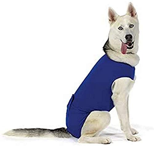 KVP Recova Shirt E-Collar Alternative Pet Recovery Collar, X-Small von KVP