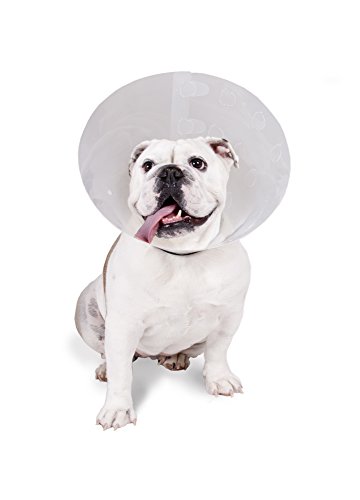 KVP Überprüfen Pet Recovery Halsband von KVP