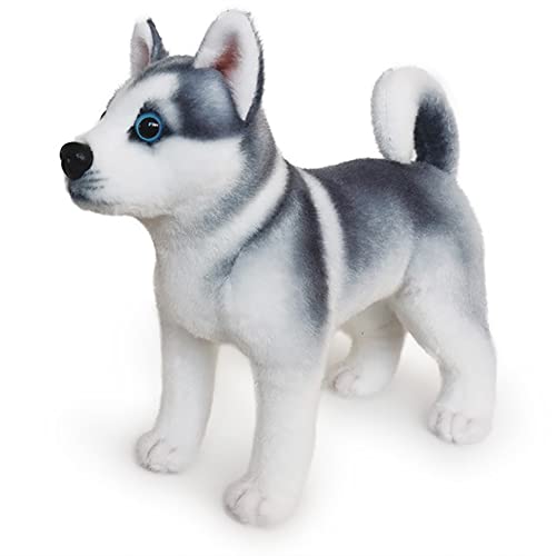 KWIBYBGS Corgi-Hundespielzeug, Plüsch, Kuscheltier, Shiba Inu, Plüschkissen, Süßes Corgi-Stofftier, Plüschpuppe, Hundeplüschtier/Type 5/25Cm KWIBYBGS Corgi-Hundespielzeug, Plüsch, Kuscheltier, Shiba Inu, Plüschkissen, Süßes Corgi-Stofftier, Plüschpuppe, Hundeplüschtier/Type 5/25Cm von KWIBYBGS
