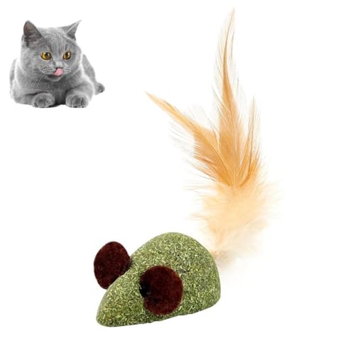 Katzenminze-Ball-Spielzeug für den Innenbereich, Zahnreinigungsspielzeug, Kätzchen, Kauspielzeug, Leckerlis, Indoor-Ball, Katzenminze, interaktive Denta Katzenminze-Ball-Spielzeug für den Innenbereich, Zahnreinigungsspielzeug, Kätzchen, Kauspielzeug, Leckerlis, Indoor-Ball, Katzenminze, interaktive Denta von KWJNH