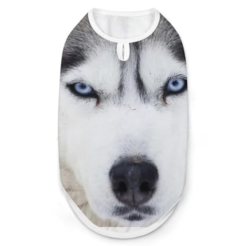 Hunde-Shirt und Katzenkleidung für den Sommer mit sibirischen Husky-Motiv, atmungsaktiver Pullover, ärmellos, Tanktop für kleine, mittelgroße und große Haustiere Hunde-Shirt und Katzenkleidung für den Sommer mit sibirischen Husky-Motiv, atmungsaktiver Pullover, ärmellos, Tanktop für kleine, mittelgroße und große Haustiere von KWQDOZF