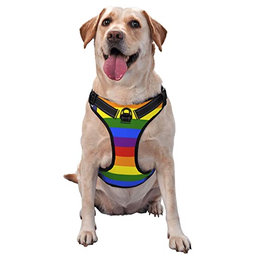 Hundegeschirr, kein Ziehen, für Spaziergänge, Haustiergeschirr, verstellbar, atmungsaktiv, US LGBT Love Pride, Regenbogen, amerikanische Flagge, weiche Weste, leicht zu kontrollierender Frontclip für Hundegeschirr, kein Ziehen, für Spaziergänge, Haustiergeschirr, verstellbar, atmungsaktiv, US LGBT Love Pride, Regenbogen, amerikanische Flagge, weiche Weste, leicht zu kontrollierender Frontclip für von KWQDOZF