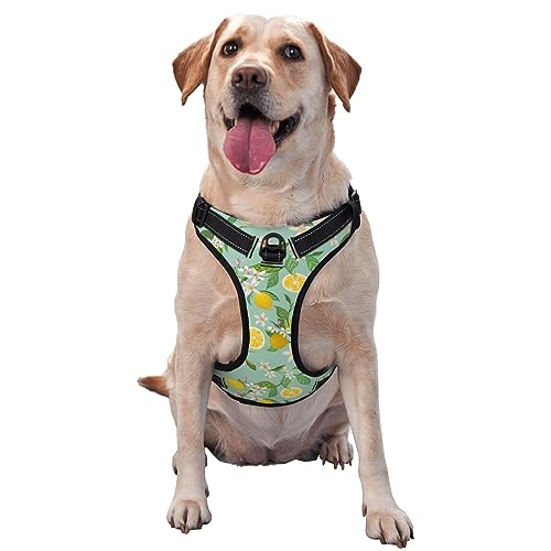 Hundegeschirr mit Zitronenbaumblättern, tropischen Blumen und Blumenmuster, Anti-Zug-Haustiergeschirr, verstellbar, weich gepolstert, Hundeweste für den Außenbereich, Haustier mit leicht zu kontrollie Hundegeschirr mit Zitronenbaumblättern, tropischen Blumen und Blumenmuster, Anti-Zug-Haustiergeschirr, verstellbar, weich gepolstert, Hundeweste für den Außenbereich, Haustier mit leicht zu kontrollie von KWQDOZF