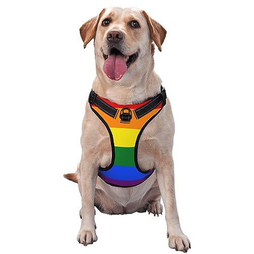Hundegeschirr ohne Ziehen, Regenbogen-LGBT-Pride-Flaggenstreifen, mit Frontclip und leicht zu kontrollierendem Griff zum Gehen, Training und Laufen Hundegeschirr ohne Ziehen, Regenbogen-LGBT-Pride-Flaggenstreifen, mit Frontclip und leicht zu kontrollierendem Griff zum Gehen, Training und Laufen von KWQDOZF