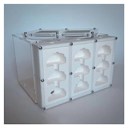 3D Big Space Gips Ameisennest Acryl Ameisenfarm Ameisen Haus Insekt Villa Ameisenhaufen Ant Nest Pet Farmen Kit Formicarium Display Box (Color : A) von KXCR