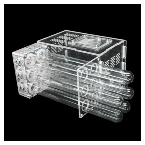 6 Reagenzglas Ameisennest DIY Ökologische Ameisenfarm Acryl Ameisenhaus Schloss mit Futterbereich Haustier Ameisenhaufen Werkstatt Cience Pädagogisch (Farbe: Gewöhnliche Röhre) von KXCR