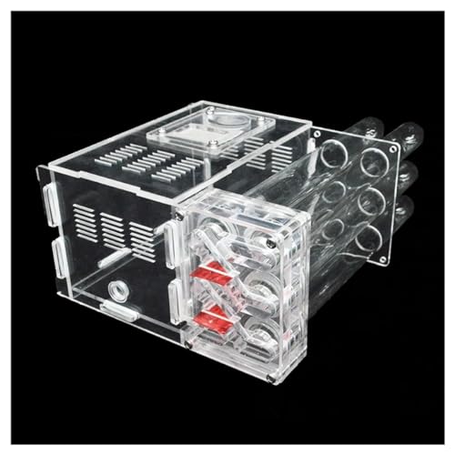 6 Reagenzglas Ameisennest DIY Ökologische Ameisenfarm Acryl Ameisenhaus Schloss mit Futterbereich Haustier Ameisenhaufen Werkstatt Cience Pädagogisch (Farbe: Gewöhnliche Röhre-A) von KXCR