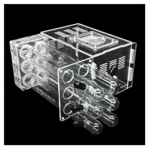 6 Reagenzglas Ameisennest DIY Ökologische Ameisenfarm Acryl Ameisenhaus Schloss mit Futterbereich Haustier Ameisenhaufen Werkstatt Cience Pädagogisch (Farbe: Wassereinspritzrohr) von KXCR