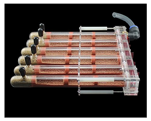 6 Test Tube Ameisennest Ameisenfarm Formicarium Display Box Fütterungshaus Für Ameisen Insekten Züchten Haus Ameisen Farmen Set Villa Ant Nest Geburtstagsgeschenk Geschenk (Color : 3 Sections-B) von KXCR