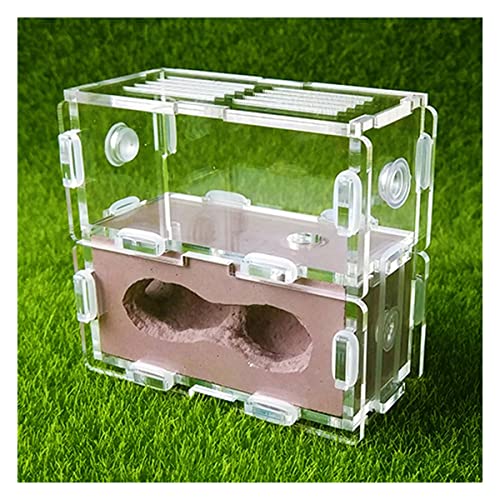 Acryl Ameisennest Ameisenfarm Natürliche Gips Ameisenhaufen Ant House Habitat Natürliches Ökologisches Pädagogisches Formicarium Villa Haus Ameisen Futterbox Werkstatt (Color : Brown) von KXCR