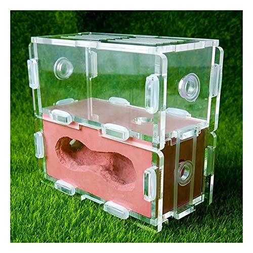 Acryl Ameisennest Ameisenfarm Natürliche Gips Ameisenhaufen Ant House Habitat Natürliches Ökologisches Pädagogisches Formicarium Villa Haus Ameisen Futterbox Werkstatt (Color : Red) von KXCR