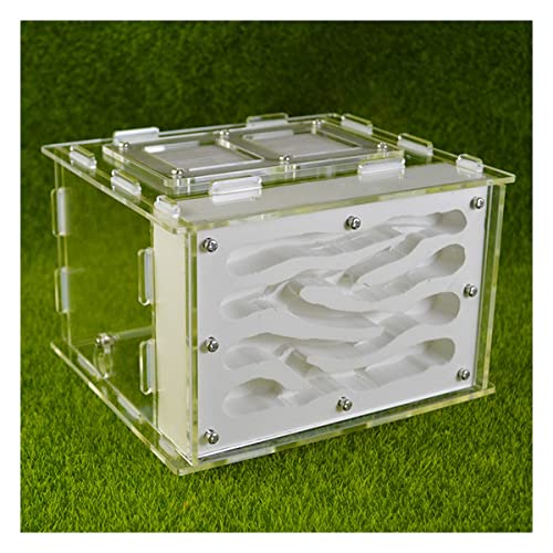 Ameisennest Acryl Ameisenfarm Natürliche Haustier Gips Ameisenhaufen Ant House Habitat Natürliches Ökologisches Pädagogisches Formicarium Villa Haus Ameisen Futterbox Werkstatt von KXCR