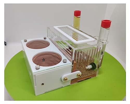 Beton Ameisennest Ameisenfarm Fütterungshaus Für Ameisen Insekten Züchten, Acryl Ameisen Farmen Ameisenhügel Pädagogisches Mit Feuchtigkeits Und Wasserzufuhr Für LIVE-Ameisen (Color : A) von KXCR
