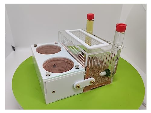 Beton Ameisennest Ameisenfarm Fütterungshaus Für Ameisen Insekten Züchten, Acryl Ameisen Farmen Ameisenhügel Pädagogisches Mit Feuchtigkeits Und Wasserzufuhr Für LIVE-Ameisen (Color : B) von KXCR