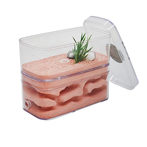 Gips Ameisennest Ameisenfarm Ameisen Haus Villa Ameisenhaufen House Ant Nest Farm Pet Farmen Kit Formicarium Display Box Mit Futterplatz von KXCR