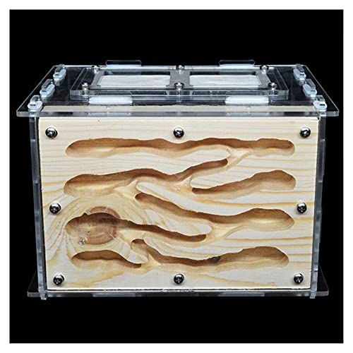 Große Ameisennester aus Acryl, Holz, Ameisenbauernhof, Insektenvilla, Ameisen-Nistkasten, Haustiere, Ameisenhäuser, Werkstatt, Ameisen, Lebensraum mit Futterplatz von KXCR