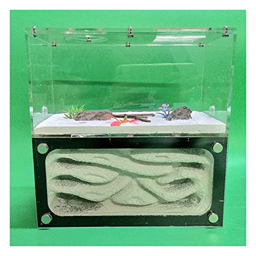 Großes Ameisennest Acryl Ameisenfarm Ameisen Haus Beton Insektenvilla Ameisenhaufen Ant Nest Pet Farmen Kit Formicarium Display Box Wissenschaft Bildungs (Color : White) von KXCR