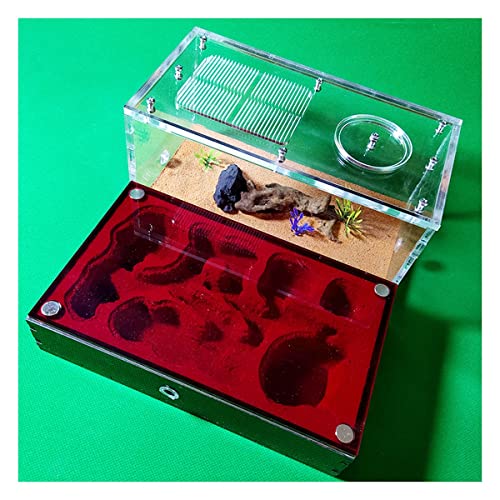 Großes Ameisennest Acryl Ameisenfarm Ameisen Haus Gips Insektenvilla Ameisenhaufen Ant Nest Pet Farmen Kit Formicarium Display Box Wissenschaft Bildungs (Color : A) von KXCR