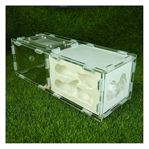 Natürliche Gips Ameisennest Ant Farm Acryl Ameisenfarm Ameisen Haus Villa Ameisenhaufen House Werkstatt Ant Nest Kit Pädagogisches Formicarium Display Box (Color : A) von KXCR