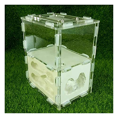 Natürliche Gips Ameisennest Ant Farm Acryl Ameisenfarm Ameisen Haus Villa Ameisenhaufen House Werkstatt Ant Nest Kit Pädagogisches Formicarium Display Box (Color : White) von KXCR