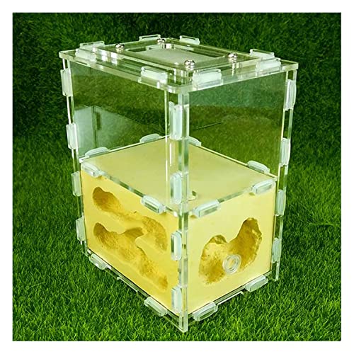 Natürliche Gips Ameisennest Ant Farm Acryl Ameisenfarm Ameisen Haus Villa Ameisenhaufen House Werkstatt Ant Nest Kit Pädagogisches Formicarium Display Box (Color : Yellow) von KXCR