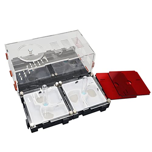 Unbegrenzte Erweiterung Ameisennest Ant Nest Acryl Ameisenfarm Ameisen Villa Formicarium Ameisenfutter Farm Haus Ameisen Zucht Box Für Ameisen Fütterung Habitat (Color : B) von KXCR