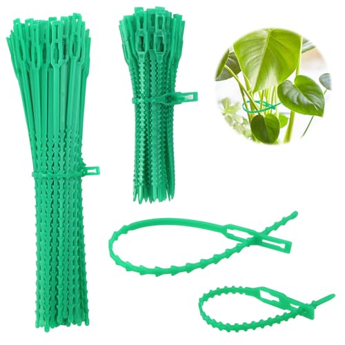 KXVXXV Pflanzenbinder 200 Stück Kabelbinder Grün Wetterfest Baumanbinder Pflanzenband Baumbinder 13/23cm Verstellbare Befestigung Universalbinder Blumenbinder KXVXXV Pflanzenbinder 200 Stück Kabelbinder Grün Wetterfest Baumanbinder Pflanzenband Baumbinder 13/23cm Verstellbare Befestigung Universalbinder Blumenbinder von KXVXXV