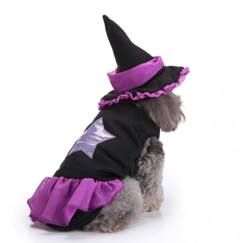 Halloween-Kostüm, Hundekostüm, lustiges Zauberer-Set für Schnauzer-Beagles, Französische Bulldogge, Mini-Pincher, Größe L von KXWDKJ