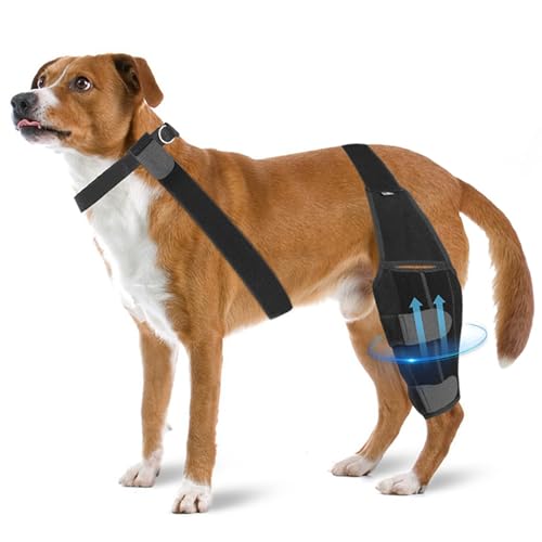 KXWDKJ Hunde-Bandage für Acl Tear Back Leg Hund Rücken Bein Unterstützung für Assists bei Rehabilitation und postoperativer Genesung (M) von KXWDKJ