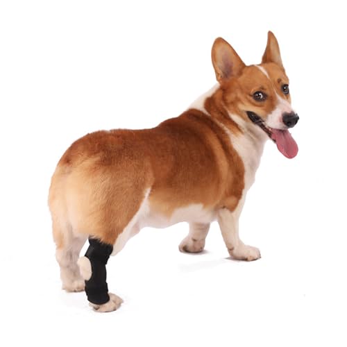 KXWDKJ Hunde Kniebandagen für Rücken Bein Hund Acl Kniebandage zur täglichen Vorbeugung und Pflege von Bänderverstauchungen und Arthritis (M) von KXWDKJ