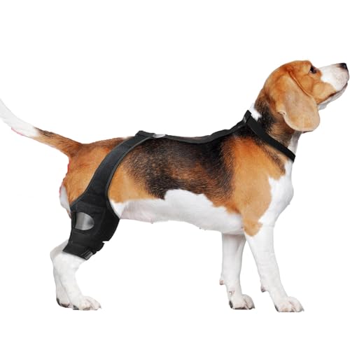 KXWDKJ Kniebandage für Hunde Hunde Hüftbandage zur Unterstützung der Kniegelenke und entlastet Druck (XL) von KXWDKJ