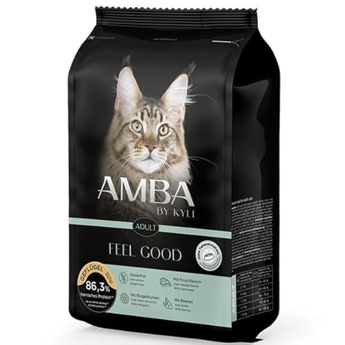 Amba by kyli Feel Good 4x2 kg Amba by kyli Feel Good 4x2 kg von KYLI